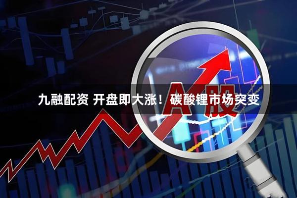 九融配资 开盘即大涨！碳酸锂市场突变