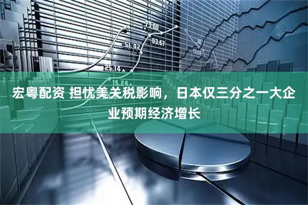 宏粤配资 担忧美关税影响，日本仅三分之一大企业预期经济增长