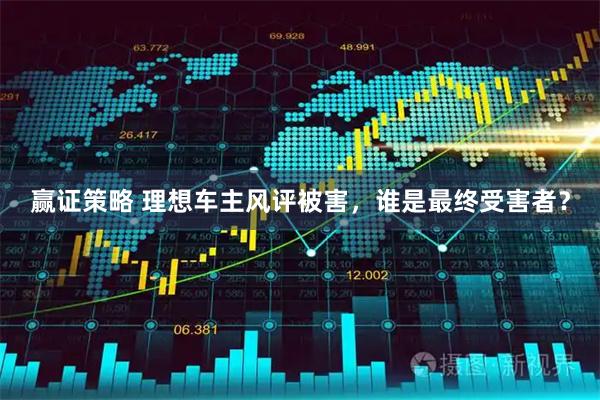 赢证策略 理想车主风评被害，谁是最终受害者？